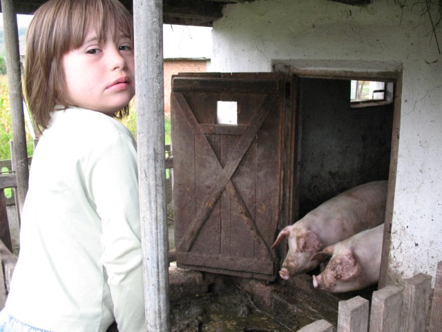 Familii și povești · fotografia 56